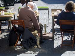 08 0312 coppia